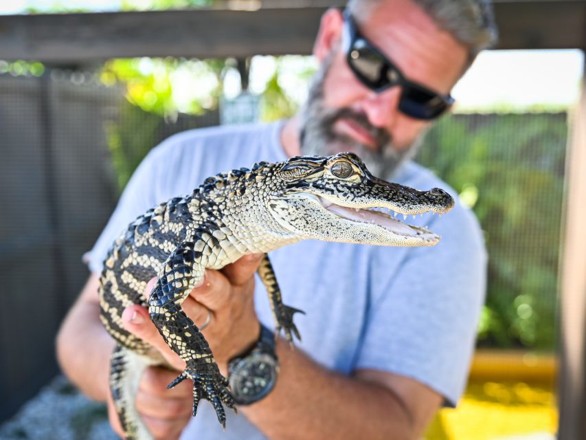 Everglades: Sawgrass Park Day Time Airboat Tour & Exhibits - Wildlife sightings depend on luck and timing