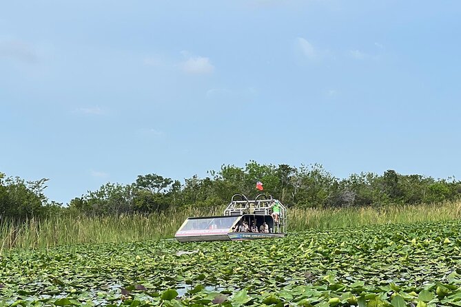 Everglades Small-Group Tour from Miami with Transportation - Price and value at $82.98