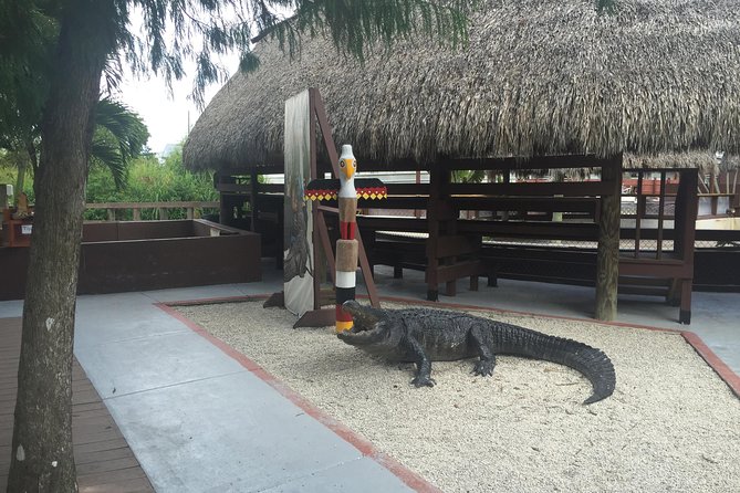 Everglades Small-Group Tour from Miami with Transportation - What you see at Everglades Holiday Park