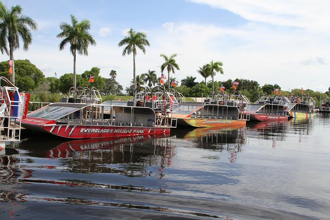 Everglades VIP Airboat Tour with Transportation Included - Alligators, birds, and the limits of wildlife spotting