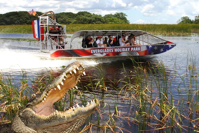 Everglades VIP Airboat Tour with Transportation Included - The alligator show and what is actually included