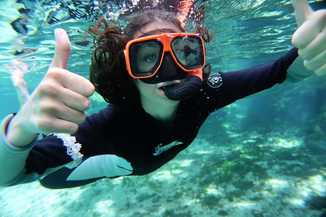 Exclusive Small Group VIP Heated Manatee Snorkel Tour - Photos, snacks, and the return to shore