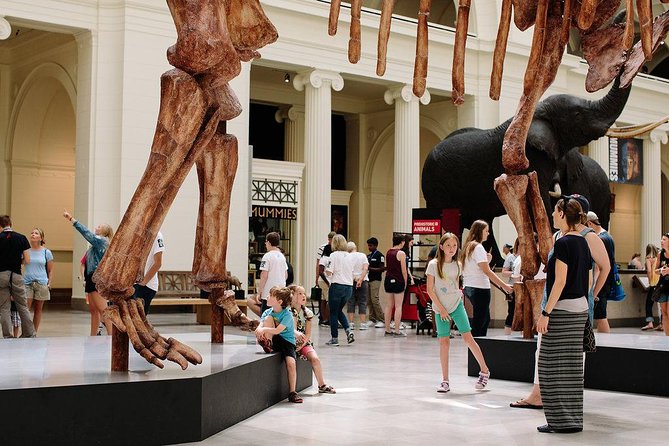 Field Museum of Natural History Admission Tickets - Ancient Americas and 13,000 years of change