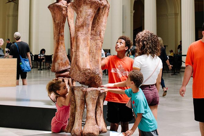 Field Museum of Natural History Admission Tickets - How much time should you allow?