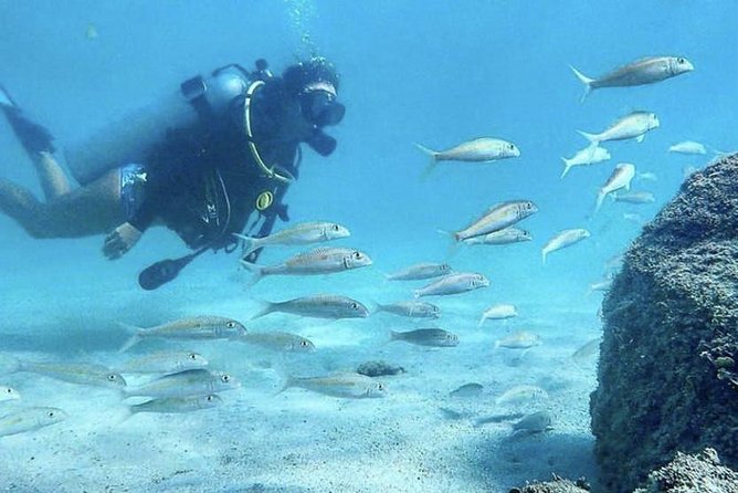 First-Time Scuba Diving in Honolulu + Free Videos - A gentle start at Magic Island Lagoon