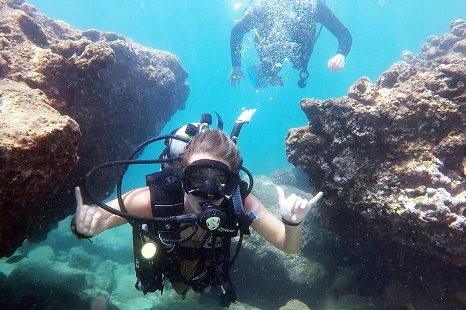 First-Time Scuba Diving in Honolulu + Free Videos - What you might see below the surface
