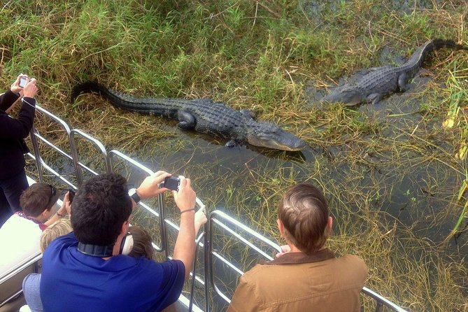 Florida Everglades Airboat Tour and Wild Florida Admission with Optional Lunch - Exploring the Wild Florida wildlife park