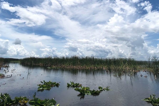 Florida Everglades Airboat Tour and Wild Florida Admission with Optional Lunch - Who will enjoy this most?