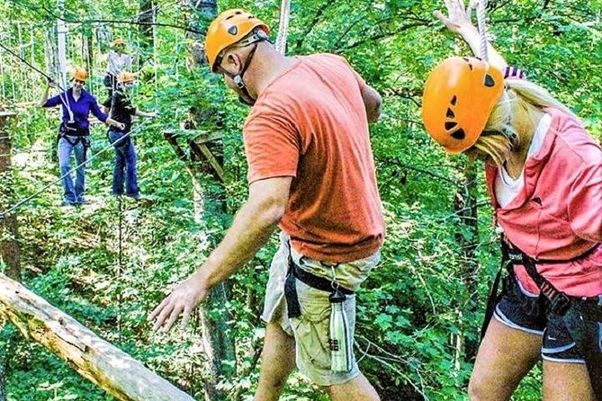 Fontanel Zipline Forest Adventure at Nashville North - Key points before you book