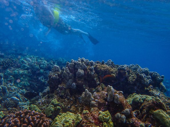Four Winds Molokini Snorkeling Tour from Maalaea Harbor - Boarding at Maalaea Harbor and settling in
