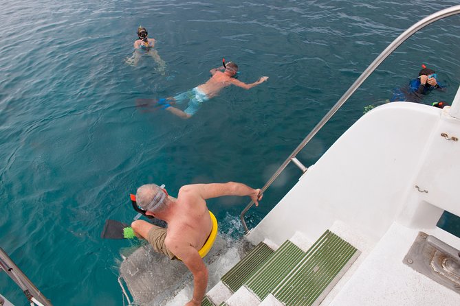 Four Winds Molokini Snorkeling Tour from Maalaea Harbor - Two hours at Molokini, with help for beginners
