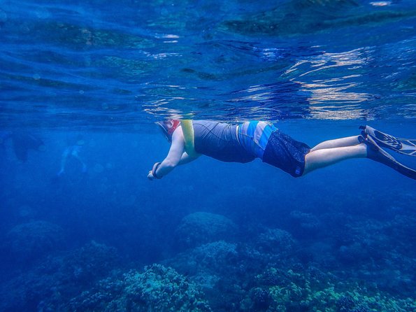 Four Winds Molokini Snorkeling Tour from Maalaea Harbor - Lunch, drinks, and the return trip