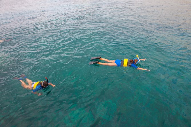 Four Winds Molokini Snorkeling Tour from Maalaea Harbor - What the $202.59 price really covers