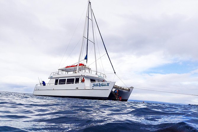 Four Winds Molokini Snorkeling Tour from Maalaea Harbor - Breakfast, Haleakala views, and the ride south