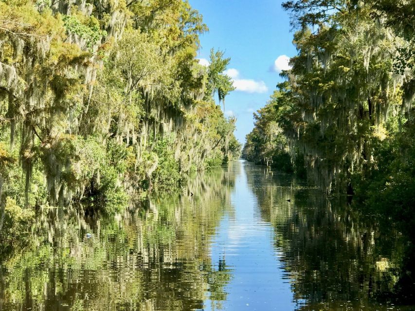 From Lafitte: Swamp Tours South of New Orleans by Airboat - Who should book this experience?