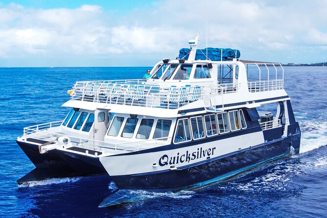 From Maalaea: Whale Watching Tour Aboard the Quicksilver - Key points to know before you book