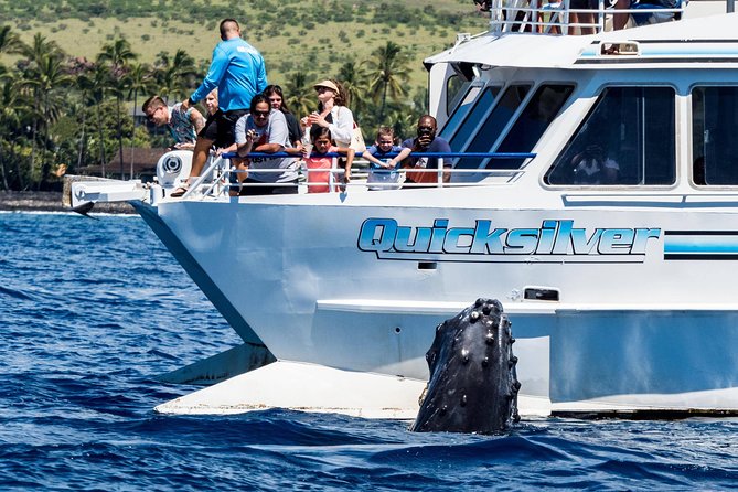 From Maalaea: Whale Watching Tour Aboard the Quicksilver - Leaving Maalaea Harbor for Maui’s whale grounds