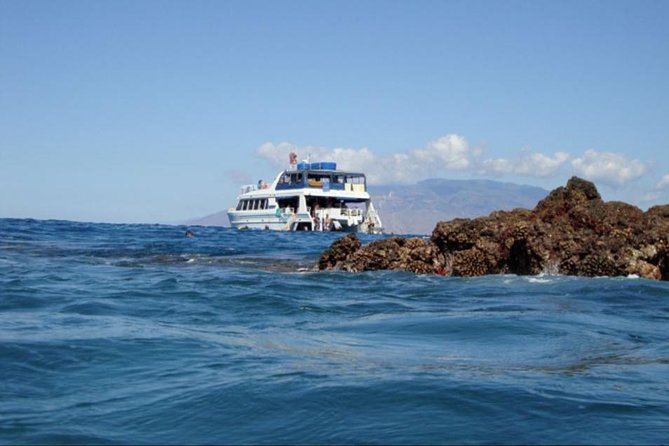 From Maalaea: Whale Watching Tour Aboard the Quicksilver - Who will enjoy this whale watching cruise?