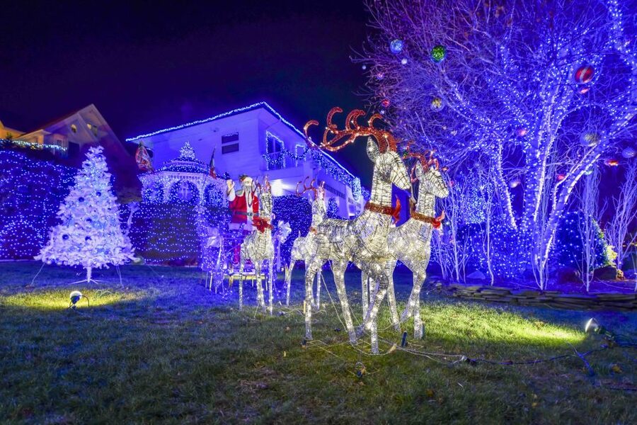 From Manhattan: Dyker Heights Lights & Skyline Tour - Is $55 a fair price?