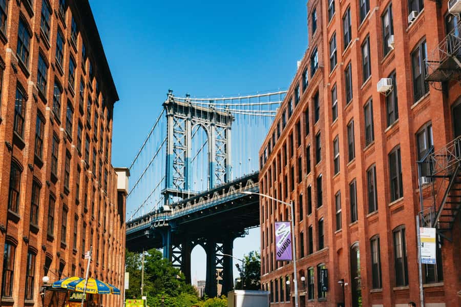 From Manhattan: Full-Day NYC Boroughs and Coney Island Tour - The Bronx, Yankee Stadium, and the roots of hip hop