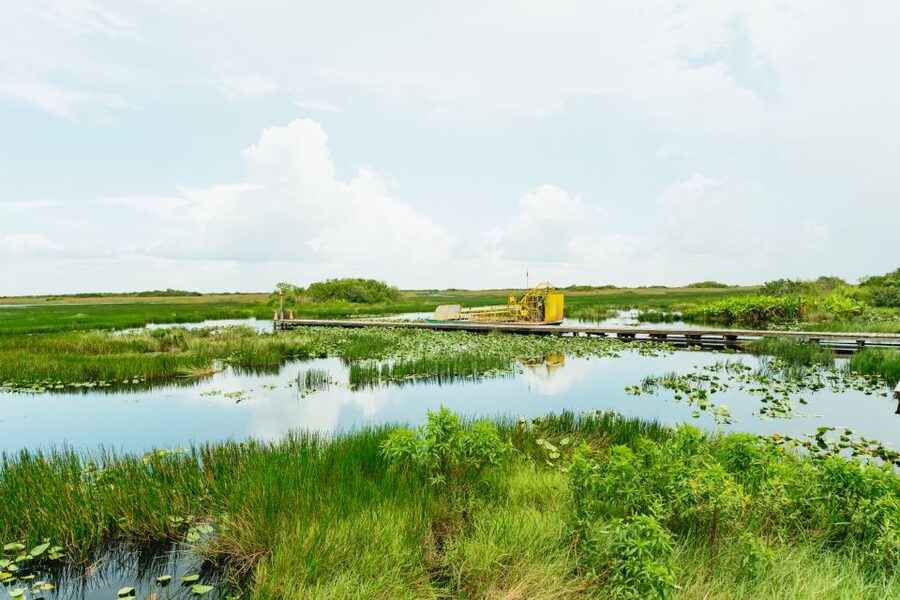 From Miami: Everglades Airboat Ride and Nature Walk - Why this is more than an airboat thrill ride