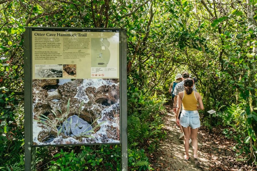 From Miami: Everglades Airboat Ride and Nature Walk - The airboat ride through the grasses