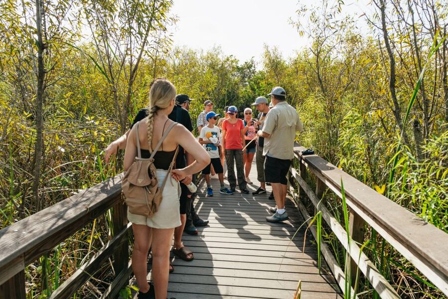 From Miami: Everglades Airboat Ride and Nature Walk - Is the $189 price fair?