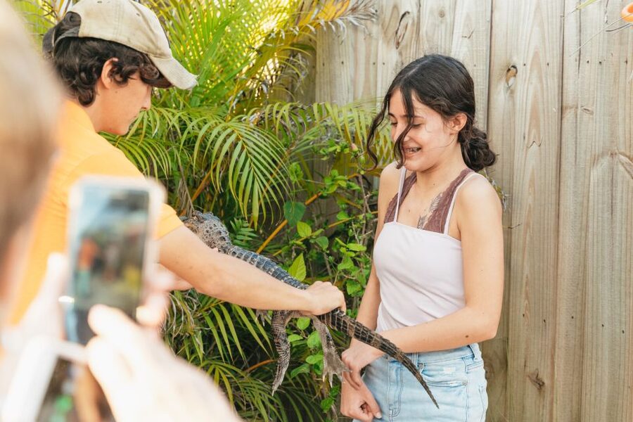 From Miami: Everglades Airboat, Wildlife Show & Bus Transfer - Key points to know before booking
