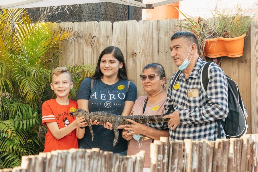 From Miami: Everglades Airboat, Wildlife Show & Bus Transfer - Should you book it?