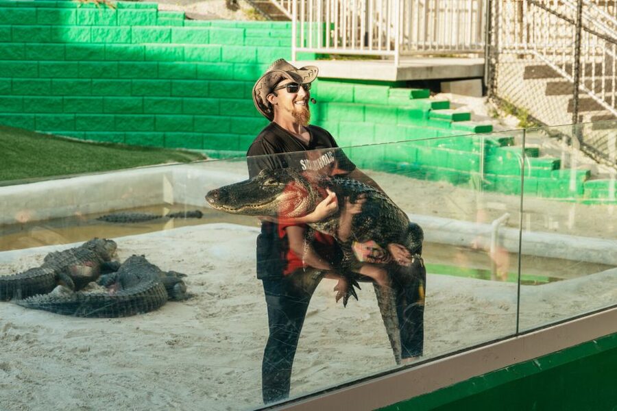 From Miami: Everglades Airboat, Wildlife Show & Bus Transfer - Is $49 good value?