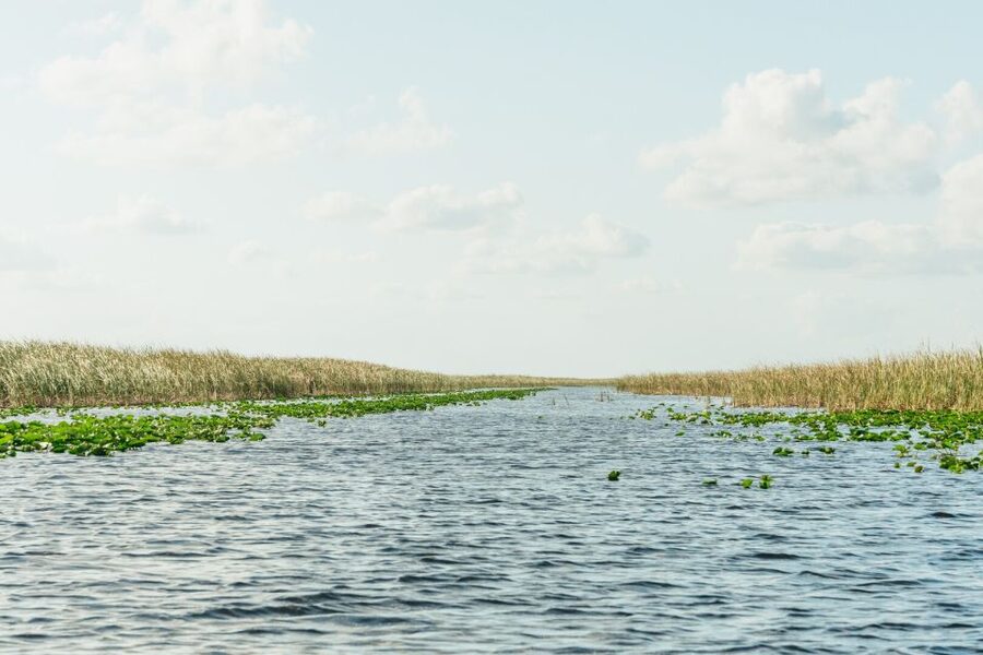 From Miami: Everglades Airboat, Wildlife Show & Bus Transfer - Practical tips for a smoother outing