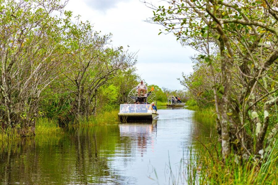 From Miami: Everglades Wildlife Show, Airboat & Bus Transfer - The 1.5-hour Biscayne Bay cruise