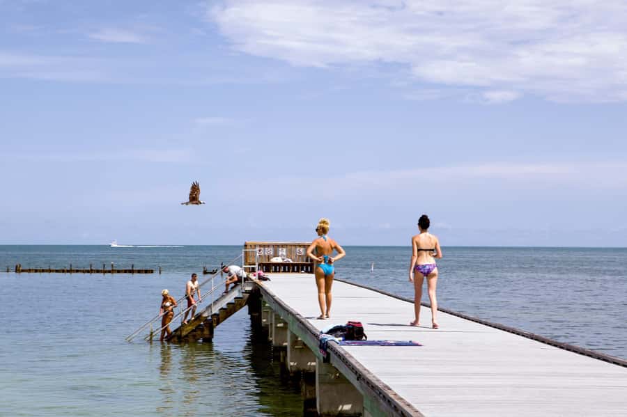 From Miami: Key West Day Tour by Motor Coach Bus - How comfortable is the bus?