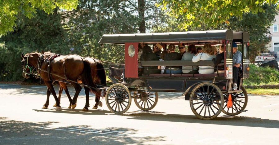 From NYC: Day Trip to Philadelphia and Amish Country - A 6:30 AM start from New York