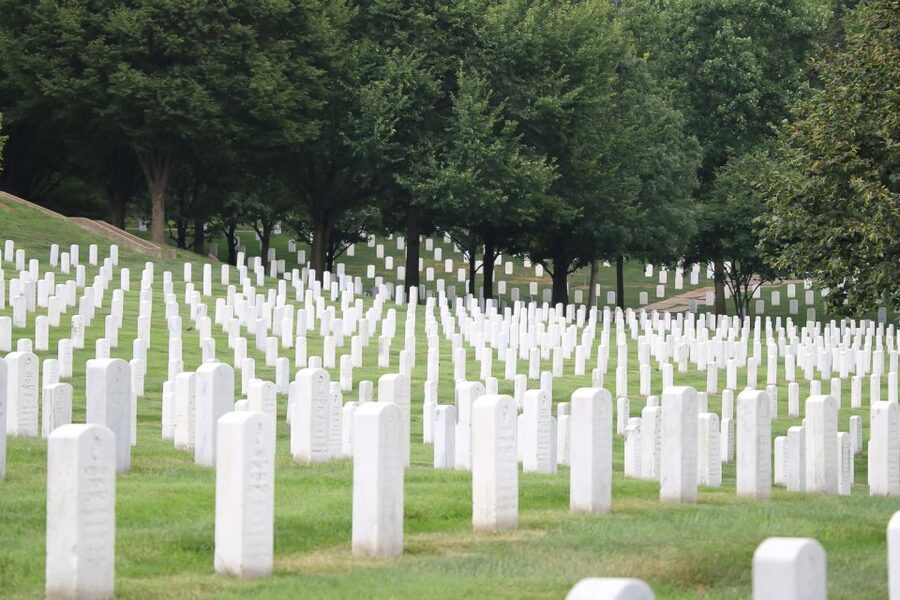From NYC: Guided Day Trip to Washington DC by Van or Bus - Key points to know before booking