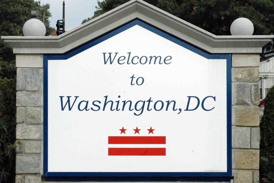 From NYC: Guided Day Trip to Washington DC by Van or Bus - Guides, languages, and group rhythm