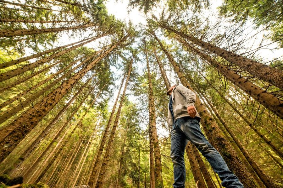 From San Francisco: Guided Muir Woods Excursion - Crossing the Golden Gate Bridge