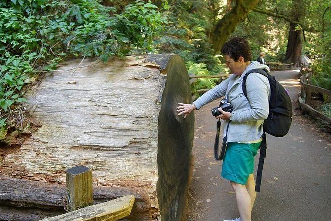 From San Francisco: Guided Tour to Muir Woods and Sausalito - Walking through Muir Woods on your own
