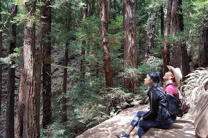 From San Francisco: Guided Tour to Muir Woods and Sausalito - What $99 gets you, and when it is good value