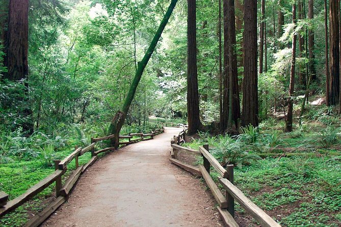 From San Francisco: Guided Tour to Muir Woods and Sausalito - Practical details that matter