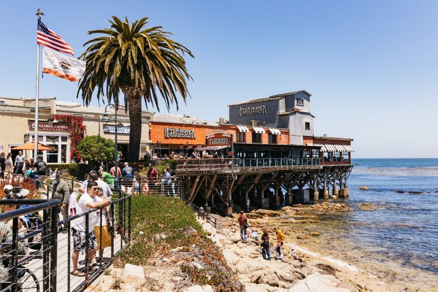 From San Francisco: Monterey and Carmel Day Tour - Key points to know before booking
