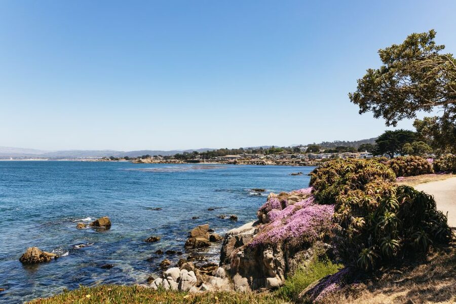 From San Francisco: Monterey and Carmel Day Tour - What the guide adds to a long coach day