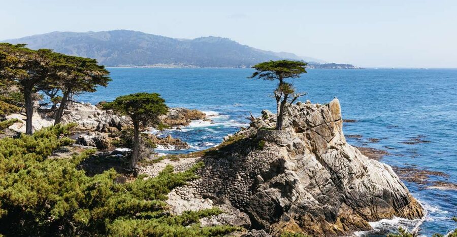 From San Francisco: Monterey and Carmel Day Tour - Why this makes sense from San Francisco