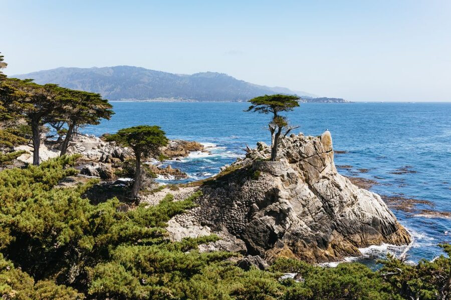 From San Francisco: Monterey and Carmel Day Tour - Starting early at Fisherman’s Wharf or Downtown