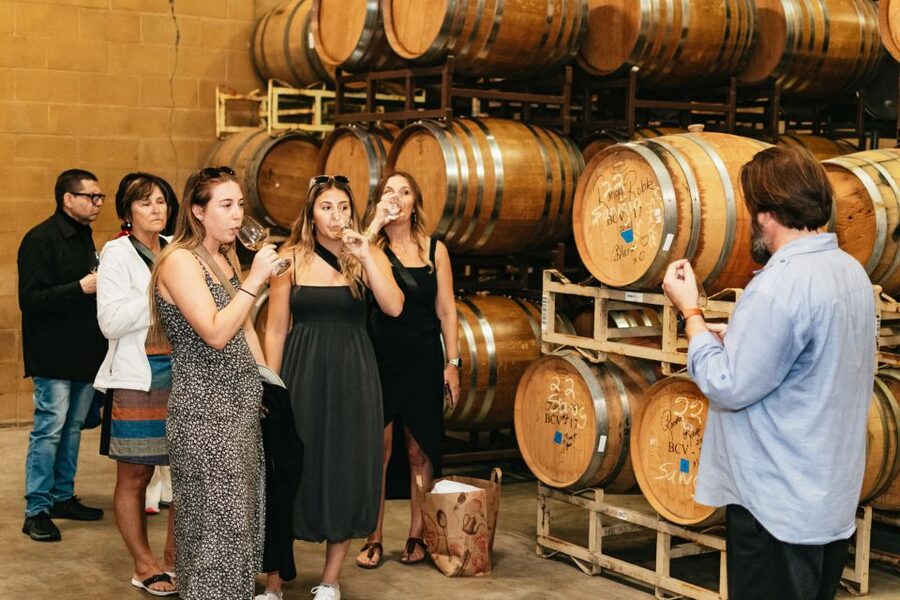 From San Francisco: Napa & Sonoma Valley Full-Day Wine Tour - Madonna Estate and the value of a proper estate tour