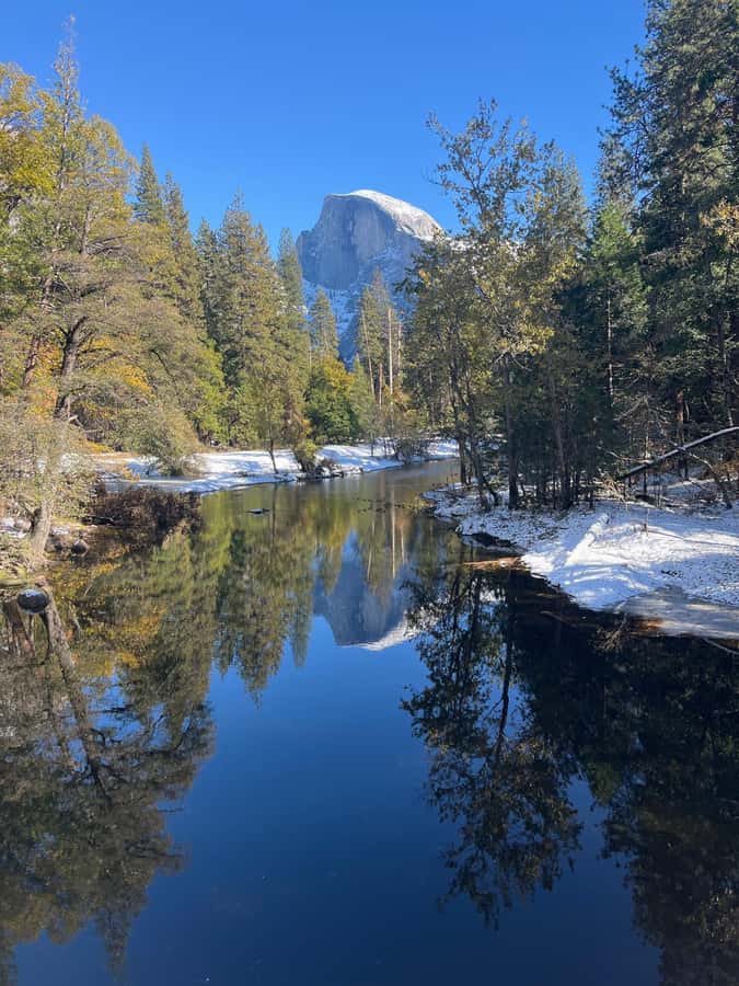 From SF: Yosemite Day Trip with Giant Sequoias Hike & Pickup - Is $239 a fair price for one day?