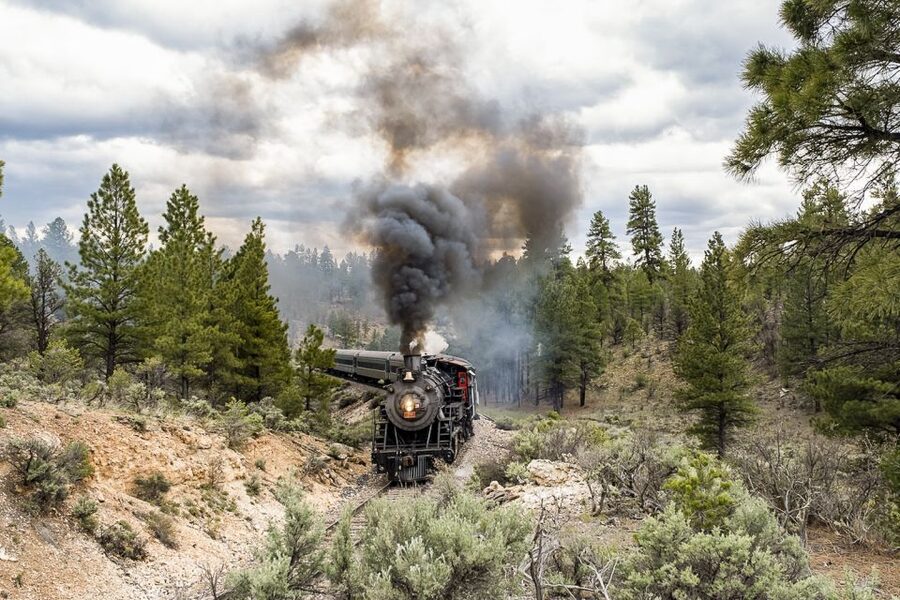 From Williams: Grand Canyon Railway Round-Trip Train Ticket - Arriving at the Grand Canyon around lunchtime