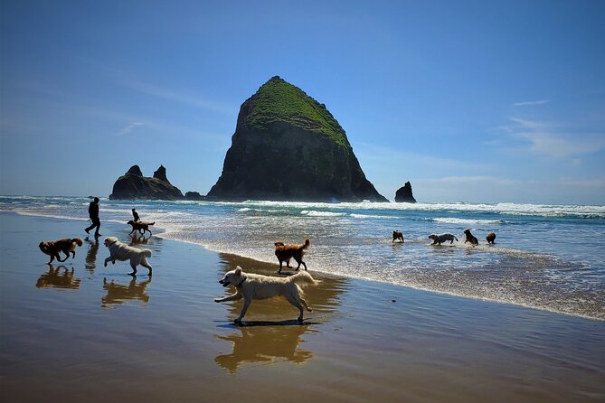 Full-Day Guided Oregon Coast Tour from Portland - Haystack Rock at low tide