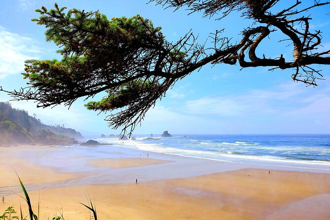 Full-Day Guided Oregon Coast Tour from Portland - Neahkahnie Mountain and the ride home