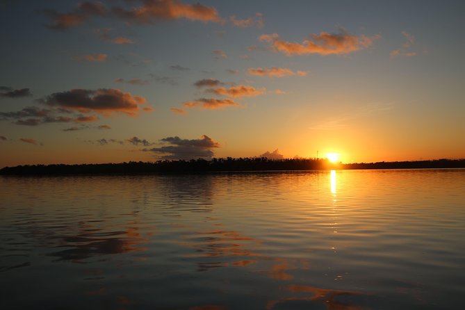 Full-Day Kayak Adventure in the Everglades - Wildlife watching with realistic expectations